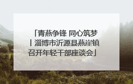 青燕争锋 同心筑梦丨淄博市沂源县燕崖镇召开年轻干部座谈会