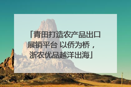 青田打造农产品出口展销平台 以侨为桥，浙农优品越洋出海