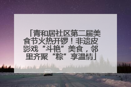 青和居社区第二届美食节火热开锣！非遗皮影戏“斗艳”美食，邻里齐聚“粽”享温情