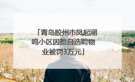 青岛胶州市凤起潮鸣小区因擅自选聘物业被罚3万元