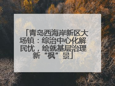 青岛西海岸新区大场镇：综治中心化解民忧，绘就基层治理新“枫”景