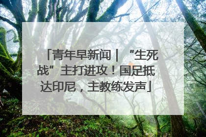 青年早新闻｜“生死战”主打进攻！国足抵达印尼，主教练发声