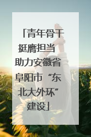 青年骨干挺膺担当 助力安徽省阜阳市“东北大外环”建设