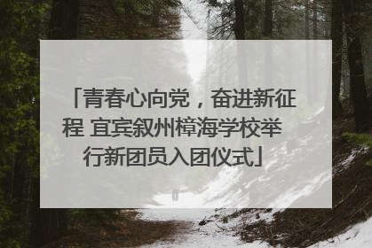 青春心向党，奋进新征程 宜宾叙州樟海学校举行新团员入团仪式