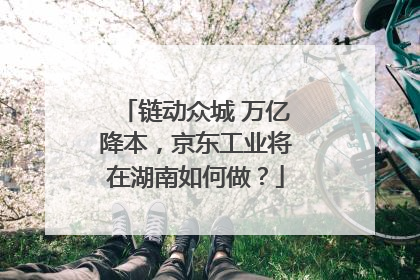 链动众城 万亿降本，京东工业将在湖南如何做？