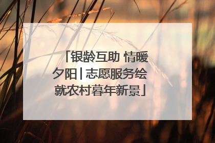 银龄互助 情暖夕阳│志愿服务绘就农村暮年新景