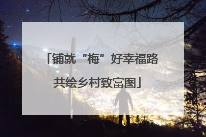 铺就“梅”好幸福路 共绘乡村致富图