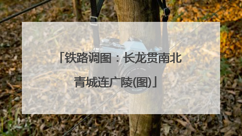 铁路调图：长龙贯南北 青城连广陵(图)