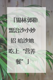 锡林郭勒盟治沙小妙招 给沙地吃上“营养餐”