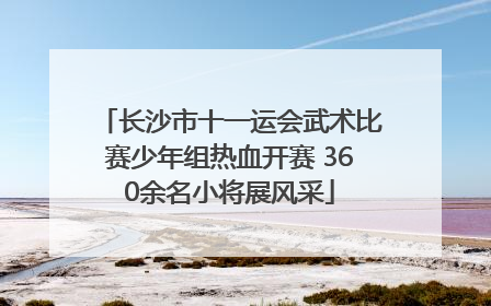 长沙市十一运会武术比赛少年组热血开赛 360余名小将展风采