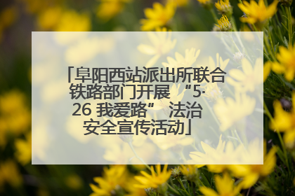 阜阳西站派出所联合铁路部门开展 “5·26 我爱路” 法治安全宣传活动
