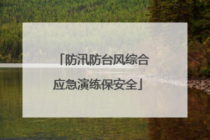 防汛防台风综合应急演练保安全