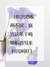 防洪增收两不误，嘉兴这条千吨级航道引来村民叫好