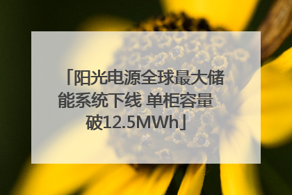 阳光电源全球最大储能系统下线 单柜容量破12.5MWh