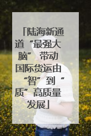 陆海新通道“最强大脑” 带动国际货运由“智”到“质”高质量发展