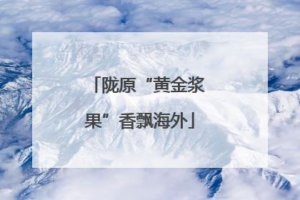 陇原“黄金浆果”香飘海外