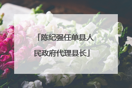 陈纪强任单县人民政府代理县长