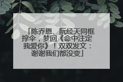 陈乔恩、阮经天同框撑伞，梦回《命中注定我爱你》！双双发文：谢谢我们都没变