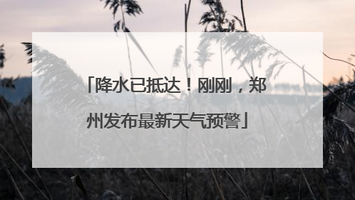 降水已抵达！刚刚，郑州发布最新天气预警
