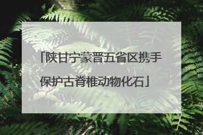 陕甘宁蒙晋五省区携手保护古脊椎动物化石
