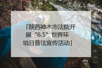 陕西神木市法院开展“6.5”世界环境日普法宣传活动