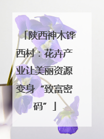 陕西神木铧西村：花卉产业让美丽资源变身“致富密码”