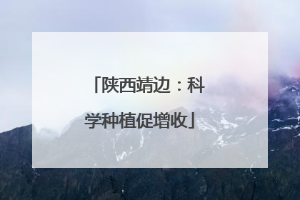 陕西靖边：科学种植促增收