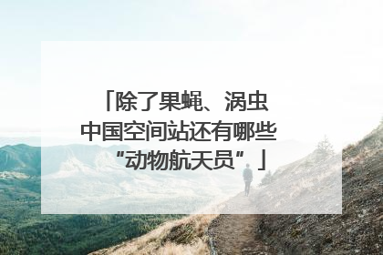 除了果蝇、涡虫 中国空间站还有哪些“动物航天员”