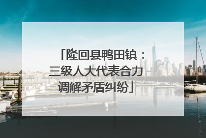 隆回县鸭田镇：三级人大代表合力调解矛盾纠纷