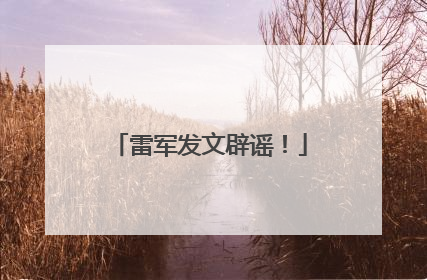 雷军发文辟谣！