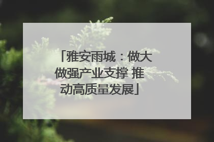 雅安雨城：做大做强产业支撑 推动高质量发展