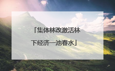 集体林改激活林下经济一池春水