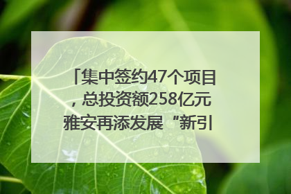 集中签约47个项目，总投资额258亿元 雅安再添发展“新引擎”｜数读西投