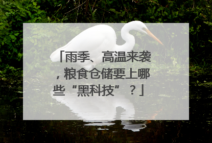 雨季、高温来袭，粮食仓储要上哪些“黑科技”？