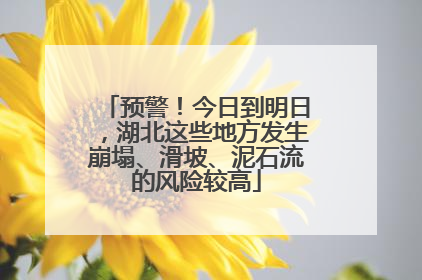 预警！今日到明日，湖北这些地方发生崩塌、滑坡、泥石流的风险较高
