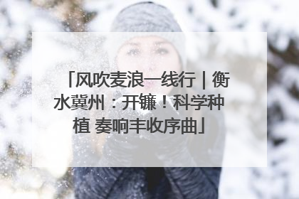 风吹麦浪一线行｜衡水冀州：开镰！科学种植 奏响丰收序曲