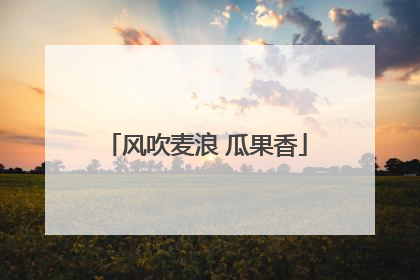 风吹麦浪 瓜果香