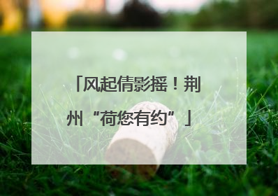 风起倩影摇！荆州“荷您有约”