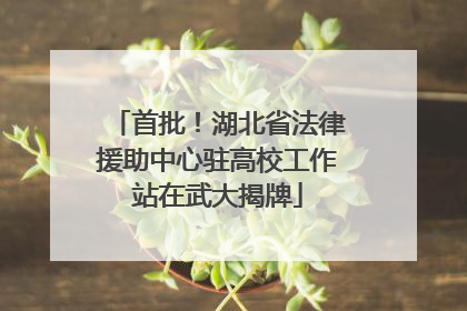 首批！湖北省法律援助中心驻高校工作站在武大揭牌
