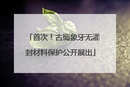 首次！古蜀象牙无灌封材料保护公开展出