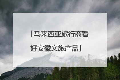 马来西亚旅行商看好安徽文旅产品