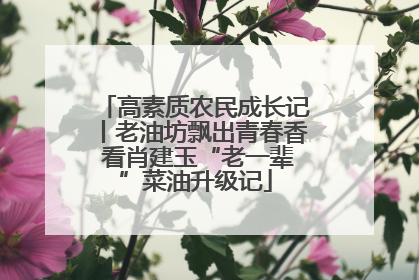 高素质农民成长记丨老油坊飘出青春香 看肖建玉“老一辈”菜油升级记