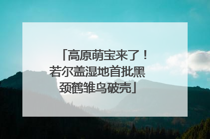 高原萌宝来了！若尔盖湿地首批黑颈鹤雏鸟破壳
