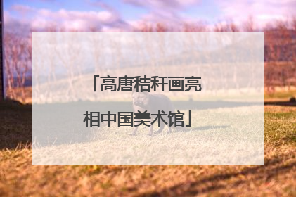 高唐秸秆画亮相中国美术馆