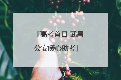 高考首日 武昌公安暖心助考