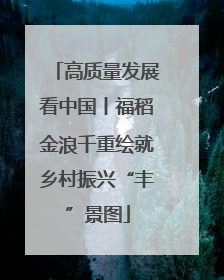 高质量发展看中国丨福稻金浪千重绘就乡村振兴“丰”景图