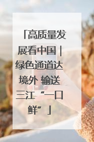 高质量发展看中国｜绿色通道达境外 输送三江“一口鲜”