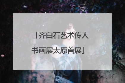 齐白石艺术传人书画展太原首展