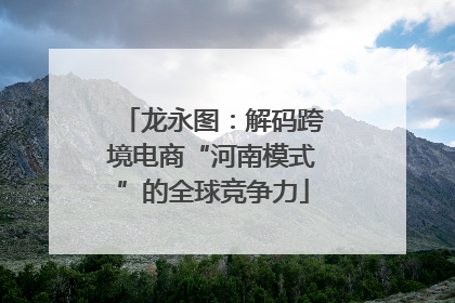龙永图：解码跨境电商“河南模式”的全球竞争力