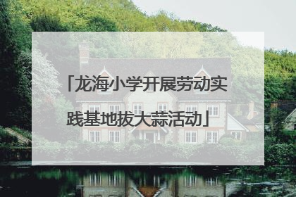 龙海小学开展劳动实践基地拔大蒜活动